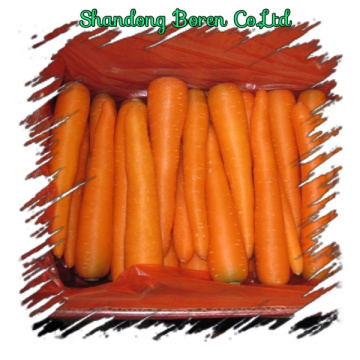 Fresh Vegetables Fresh Carrots S/M/L/2L